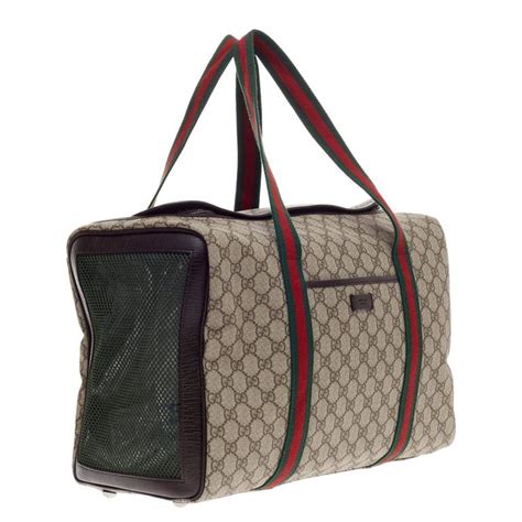 gucci dog carrier|Gucci tote with cat.